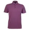 Mens Polo 80381500 - Cobalt Violet