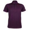 Mens Polo 80381525 - Italian Plum